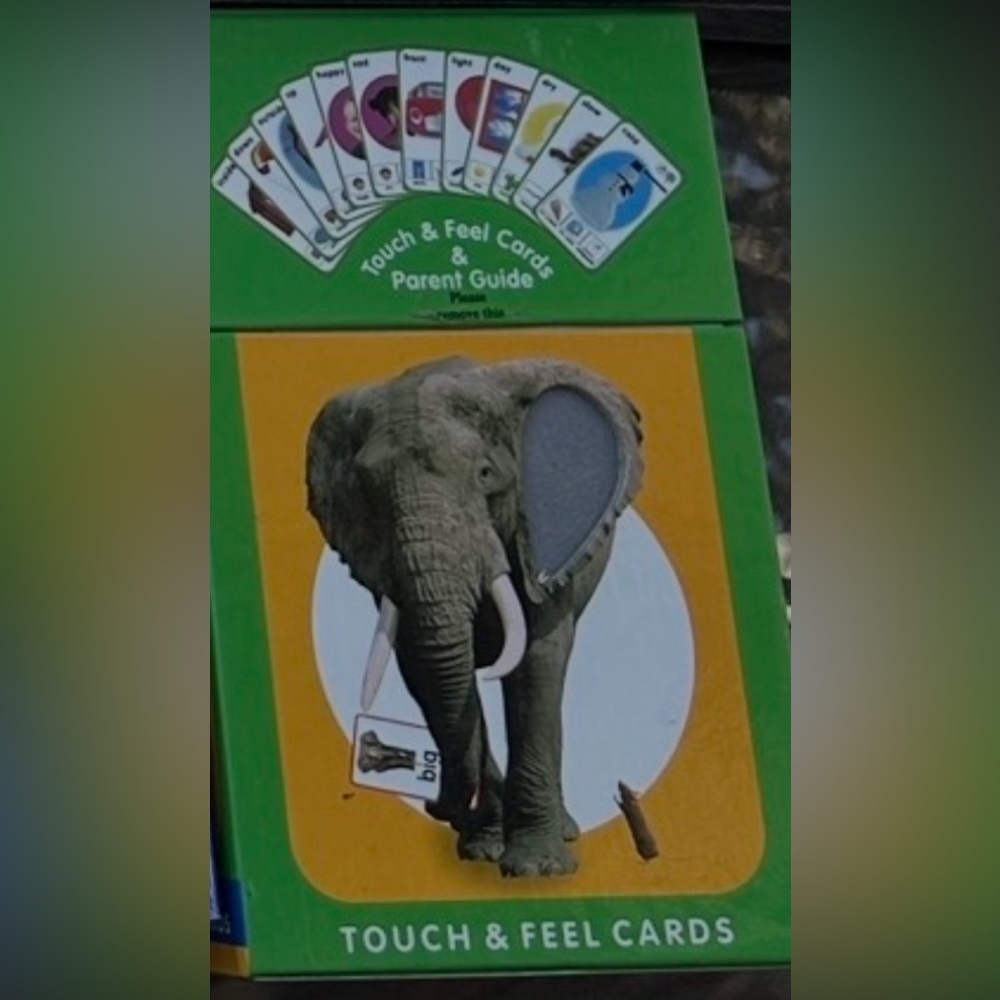 Touch & Feel Flash Cards -